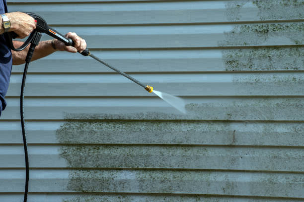 Professional Pressure Washing Services in Port Barre, LA